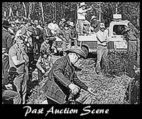 Past Auction Scene