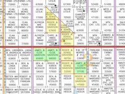 Real Estate Auction