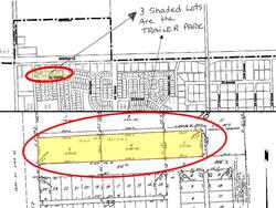 Real Estate Auction